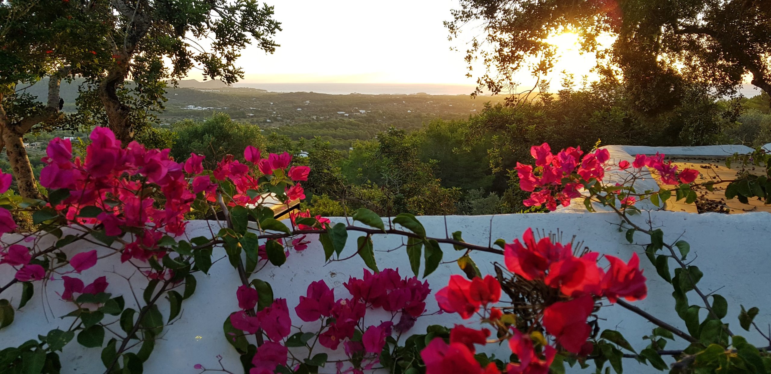 Immerse yourself in Balearic bliss… Immerse yourself in Balearic bliss…