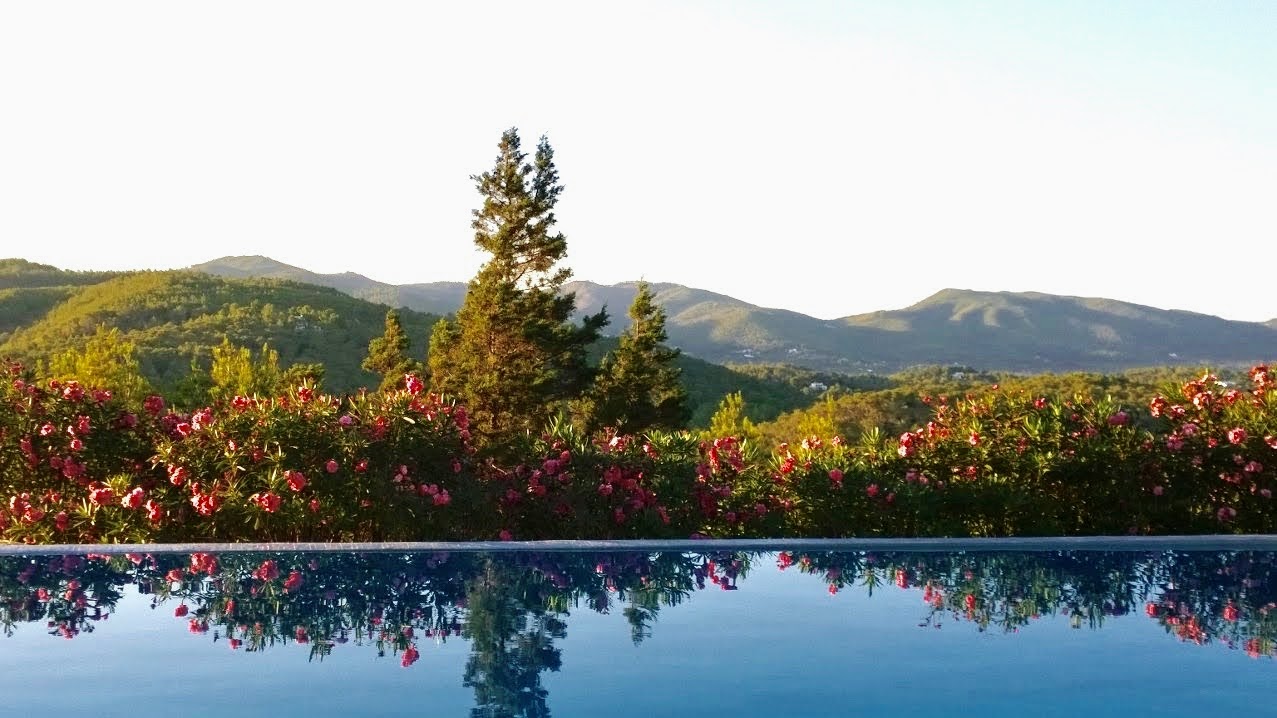 Where every day is like waking up in paradise… Where every day is like waking up in paradise…