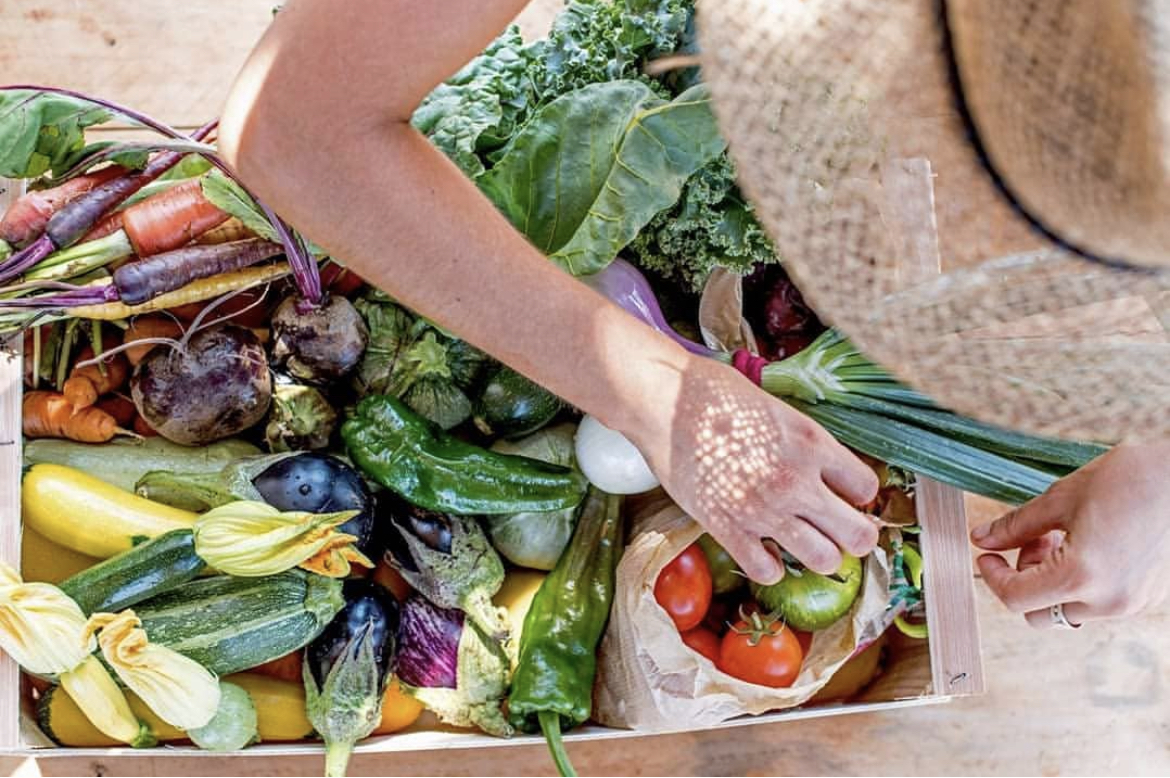 My Love Food Ibiza workshops My Love Food Ibiza workshops